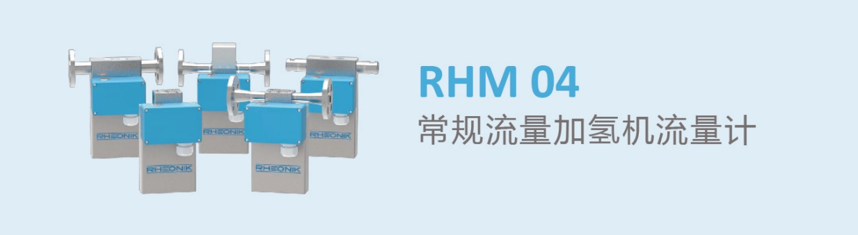 RHM 04 常规流量加氢机流量计